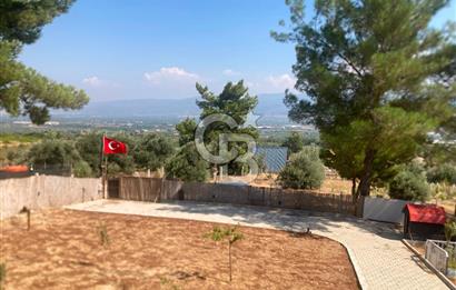 Kemalpaşa Çambel Mevki Zeytinlik-Hisseli ve Bungalov Ev