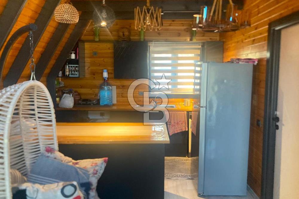 Kemalpaşa Çambel Mevki Zeytinlik-Hisseli ve Bungalov Ev