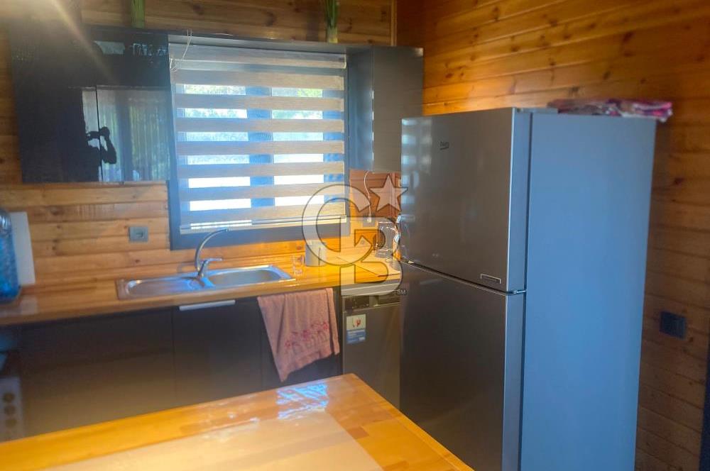Kemalpaşa Çambel Mevki Zeytinlik-Hisseli ve Bungalov Ev