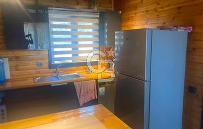 Kemalpaşa Çambel Mevki Zeytinlik-Hisseli ve Bungalov Ev