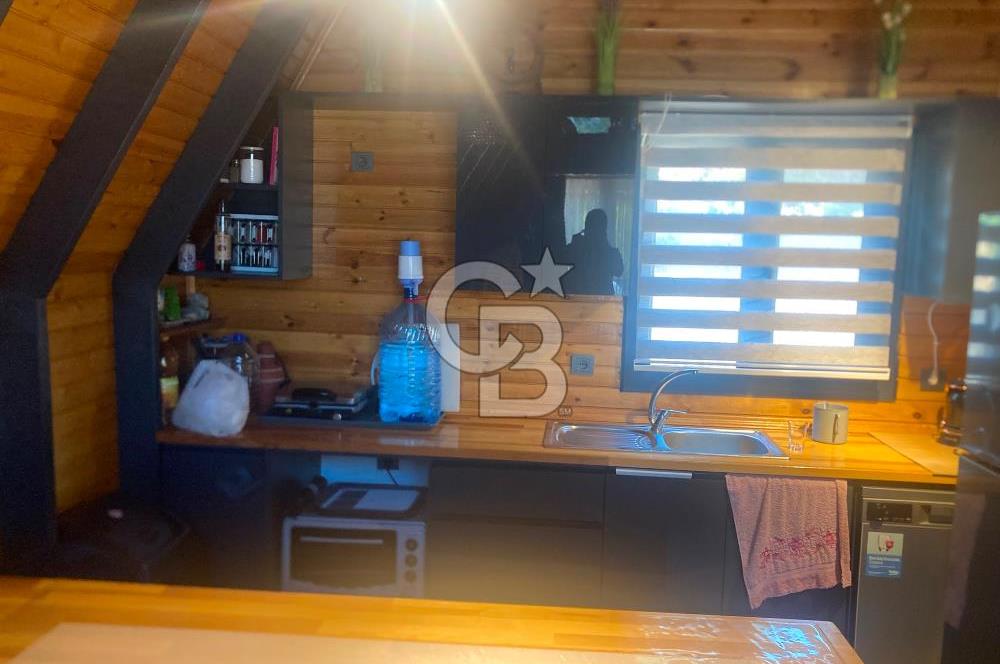 Kemalpaşa Çambel Mevki Zeytinlik-Hisseli ve Bungalov Ev