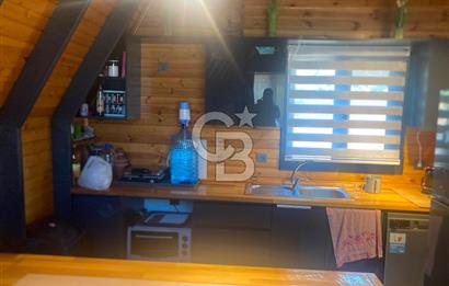 Kemalpaşa Çambel Mevki Zeytinlik-Hisseli ve Bungalov Ev