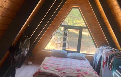 Kemalpaşa Çambel Mevki Zeytinlik-Hisseli ve Bungalov Ev