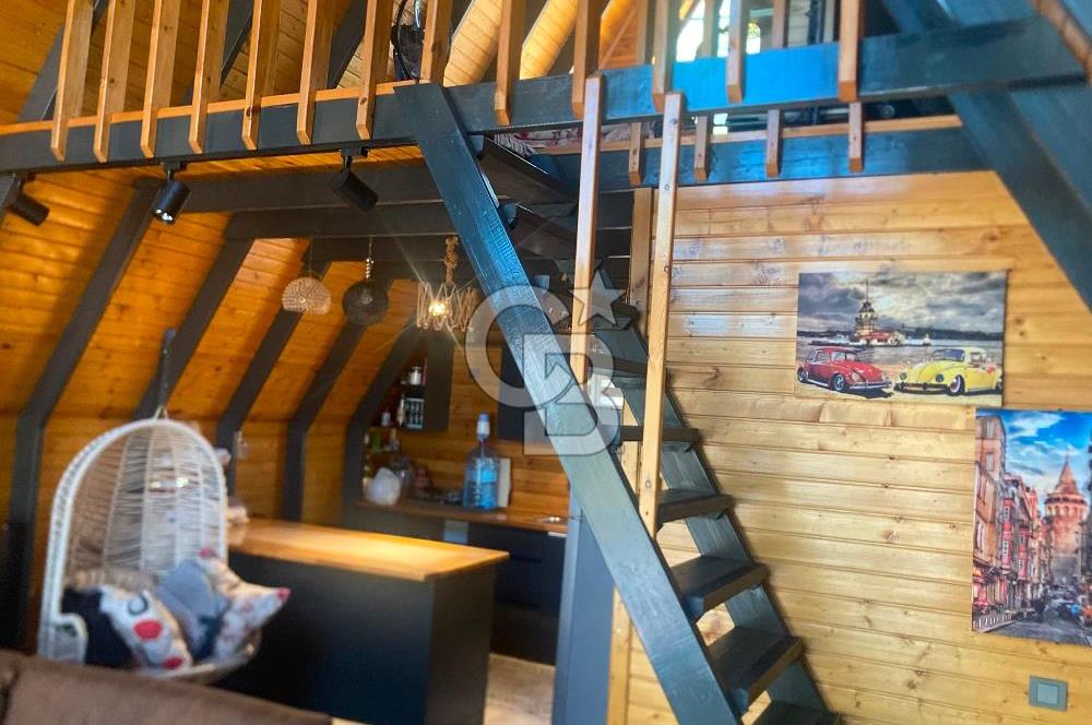 Kemalpaşa Çambel Mevki Zeytinlik-Hisseli ve Bungalov Ev