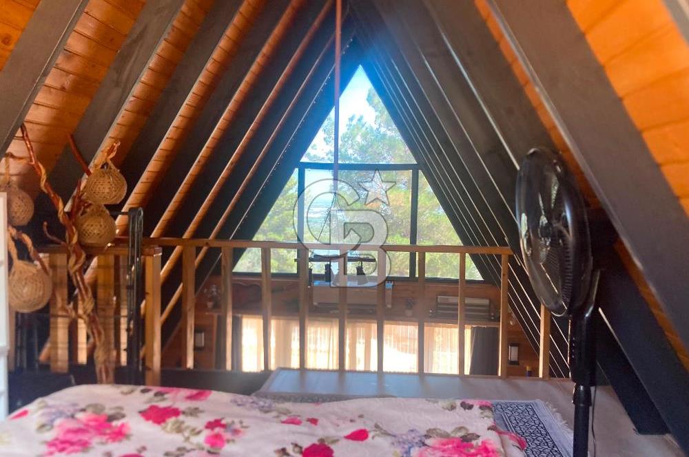 Kemalpaşa Çambel Mevki Zeytinlik-Hisseli ve Bungalov Ev
