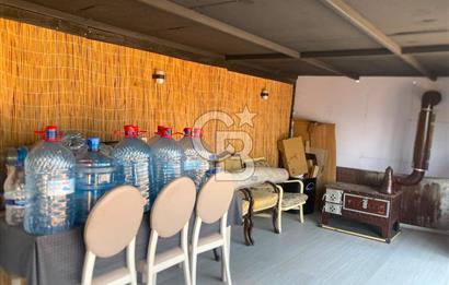 Kemalpaşa Çambel Mevki Zeytinlik-Hisseli ve Bungalov Ev