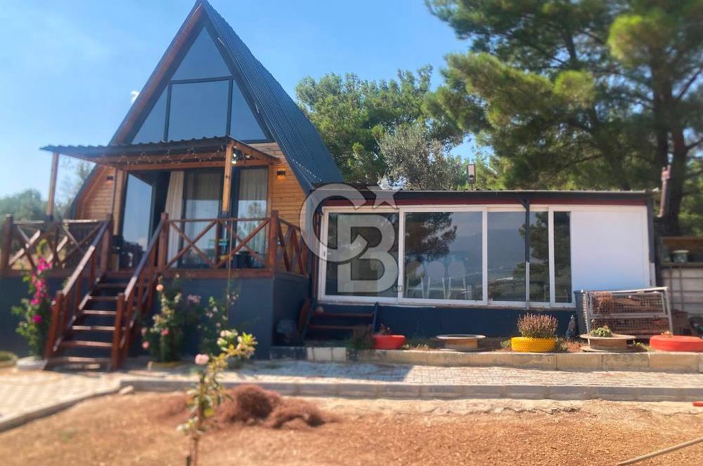 Kemalpaşa Çambel Mevki Zeytinlik-Hisseli ve Bungalov Ev