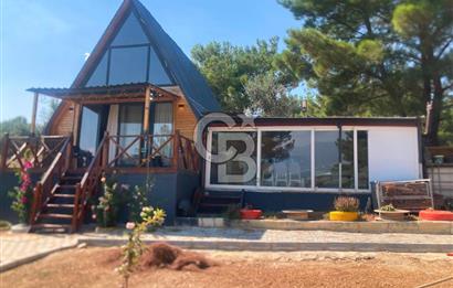 Kemalpaşa Çambel Mevki Zeytinlik-Hisseli ve Bungalov Ev
