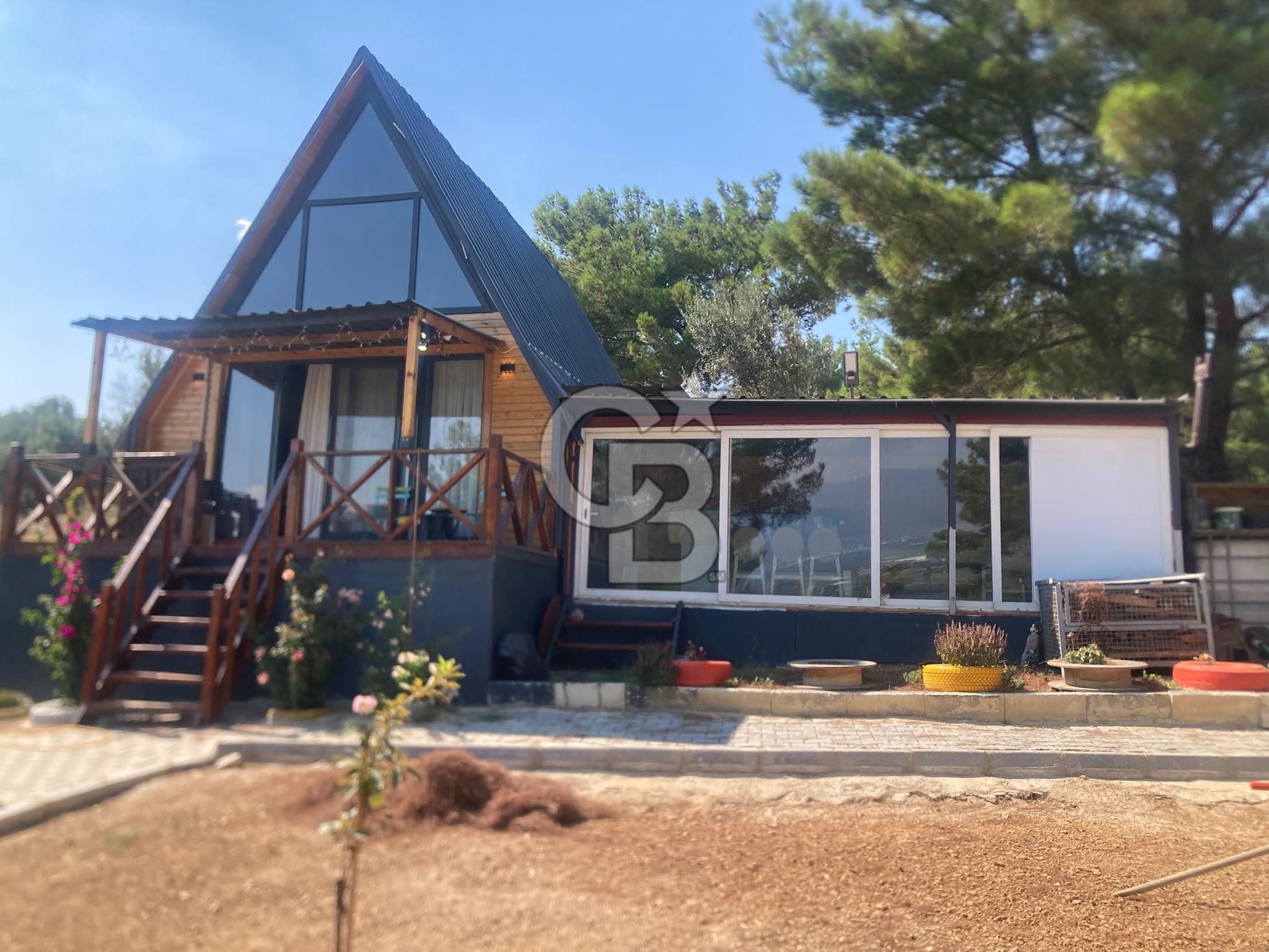 Kemalpaşa Çambel Mevki Zeytinlik-Hisseli ve Bungalov Ev