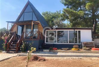 Kemalpaşa Çambel Mevki Zeytinlik-Hisseli ve Bungalov Ev - 3 - 367724