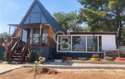 Kemalpaşa Çambel Mevki Zeytinlik-Hisseli ve Bungalov Ev