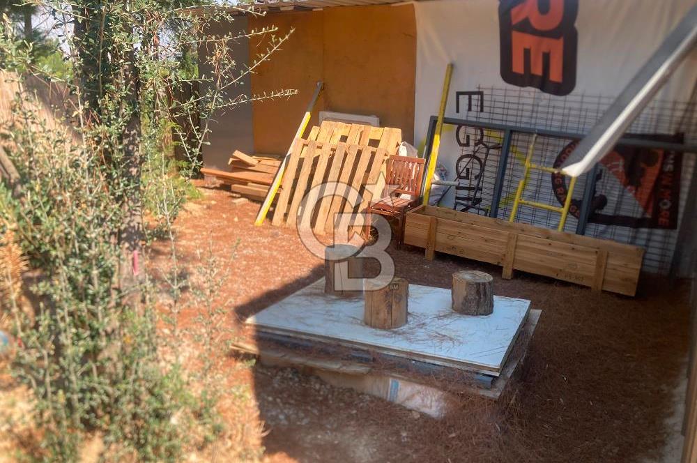 Kemalpaşa Çambel Mevki Zeytinlik-Hisseli ve Bungalov Ev