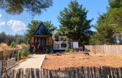 Kemalpaşa Çambel Mevki Zeytinlik-Hisseli ve Bungalov Ev