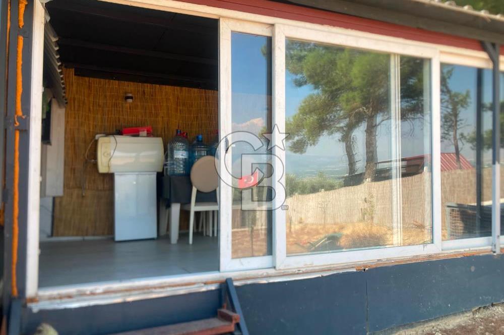 Kemalpaşa Çambel Mevki Zeytinlik-Hisseli ve Bungalov Ev