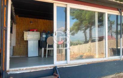 Kemalpaşa Çambel Mevki Zeytinlik-Hisseli ve Bungalov Ev