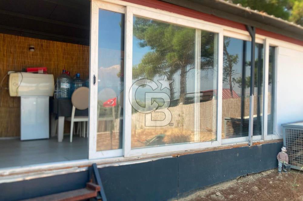 Kemalpaşa Çambel Mevki Zeytinlik-Hisseli ve Bungalov Ev