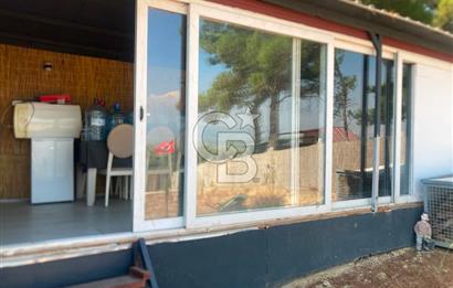 Kemalpaşa Çambel Mevki Zeytinlik-Hisseli ve Bungalov Ev