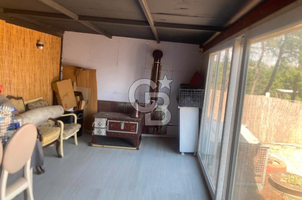 Kemalpaşa Çambel Mevki Zeytinlik-Hisseli ve Bungalov Ev