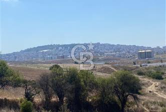 Kuzey Marmara Otoyoluna Yakın 1/1000 Planlı 1.625 m² ArsaHissesi - 8 - 367775