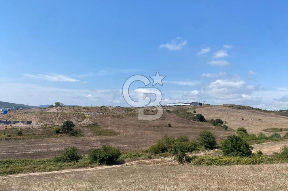 Kuzey Marmara Otoyoluna Yakın 1/1000 Planlı 1.625 m² ArsaHissesi