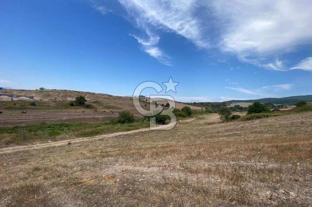 Kuzey Marmara Otoyoluna Yakın 1/1000 Planlı 1.625 m² ArsaHissesi