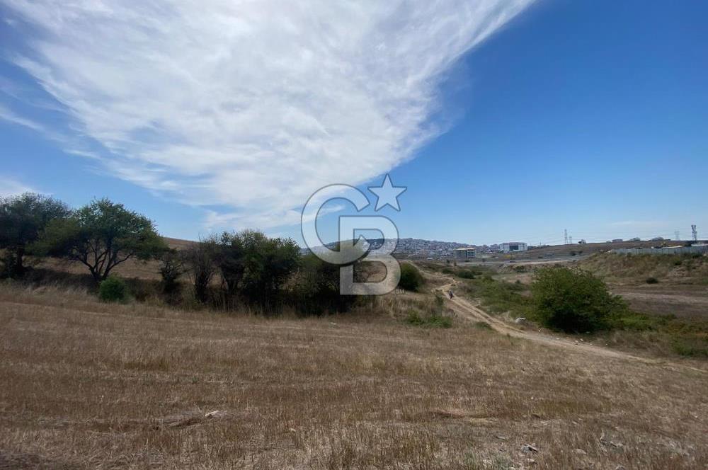 Kuzey Marmara Otoyoluna Yakın 1/1000 Planlı 1.625 m² ArsaHissesi