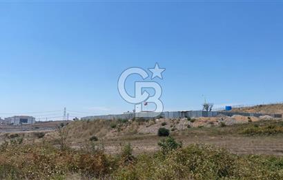 Kuzey Marmara Otoyoluna Yakın 1/1000 Planlı 1.625 m² ArsaHissesi