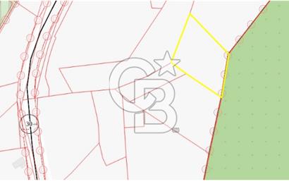Kuzey Marmara Otoyoluna Yakın 1/1000 Planlı 1.625 m² ArsaHissesi