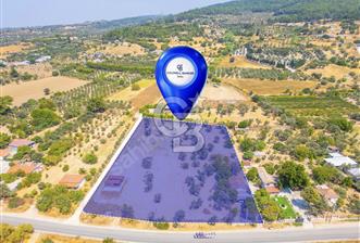 KUŞÇULAR BAĞ YOLUNDA SATILIK TARLA - 5 - 367757
