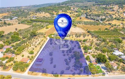 KUŞÇULAR BAĞ YOLUNDA SATILIK TARLA