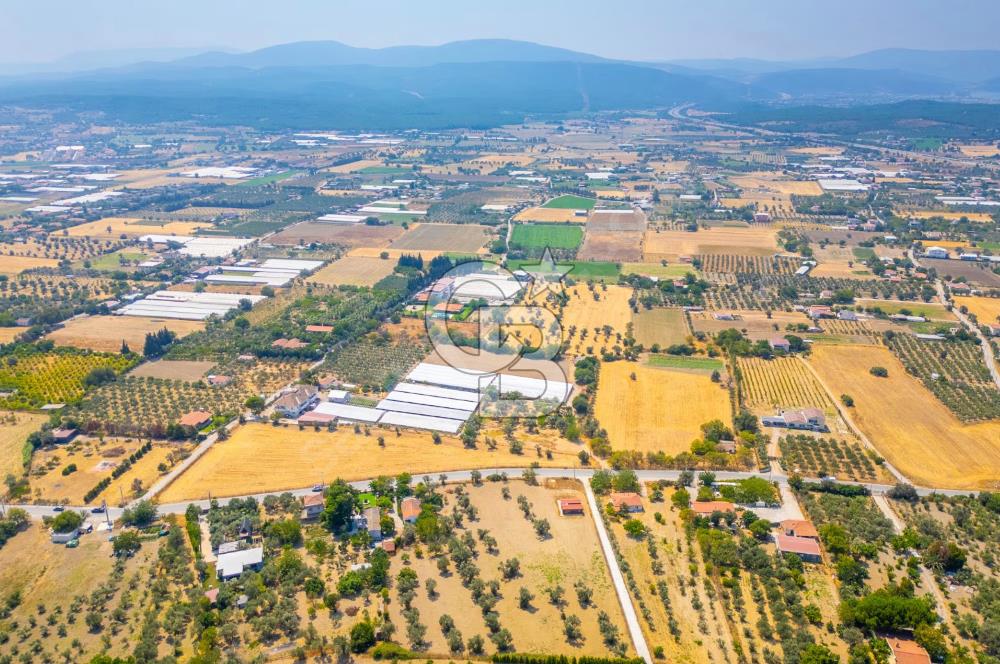 KUŞÇULAR BAĞ YOLUNDA SATILIK TARLA