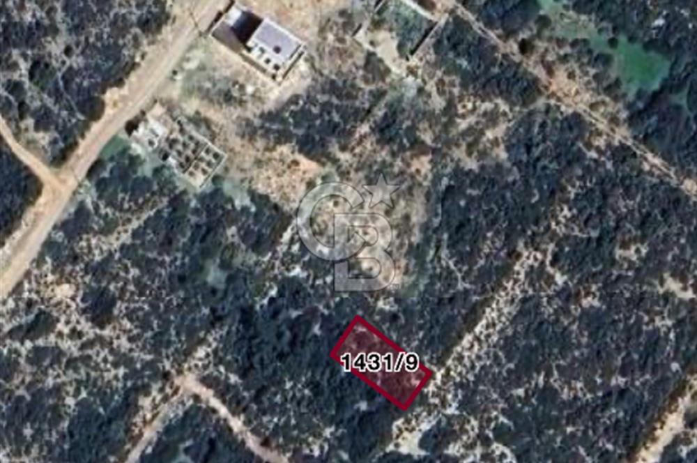 300 m2 Satılık Villa Arsası