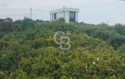300 m2 Satılık Villa Arsası