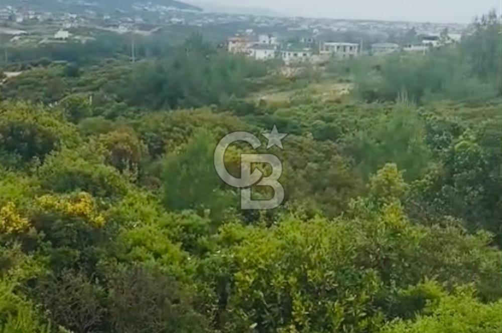 300 m2 Satılık Villa Arsası
