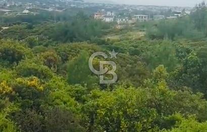 300 m2 Satılık Villa Arsası