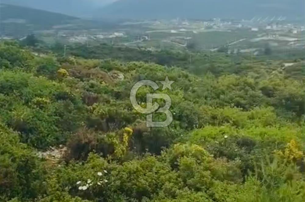 300 m2 Satılık Villa Arsası