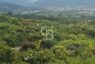 300 m2 Satılık Villa Arsası - 4 - 367781
