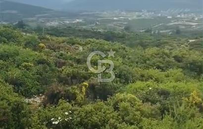 300 m2 Satılık Villa Arsası