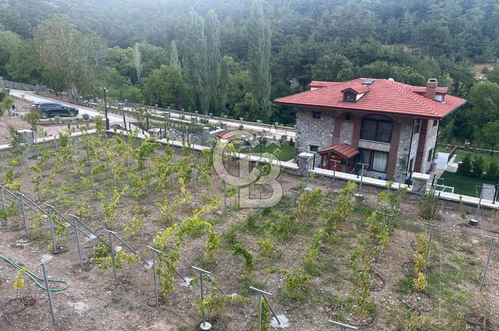 İzmir Kemalpaşa Nazarköy 7500 m2 Doğanın İçinde Lüks Yaşam Villa