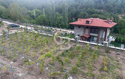 İzmir Kemalpaşa Nazarköy 7500 m2 Doğanın İçinde Lüks Yaşam Villa