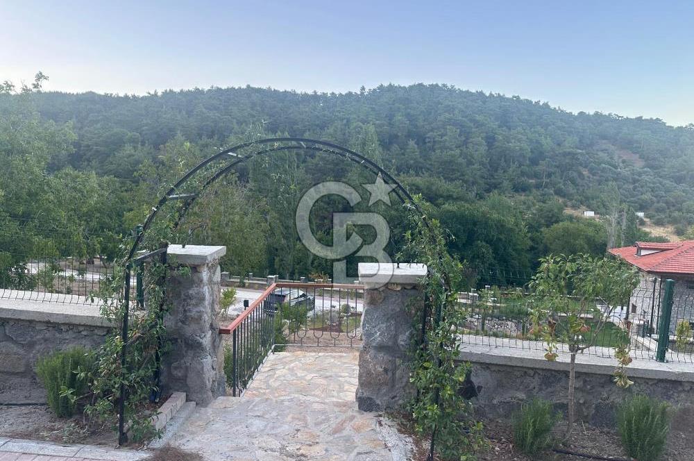 İzmir Kemalpaşa Nazarköy 7500 m2 Doğanın İçinde Lüks Yaşam Villa