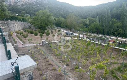 İzmir Kemalpaşa Nazarköy 7500 m2 Doğanın İçinde Lüks Yaşam Villa