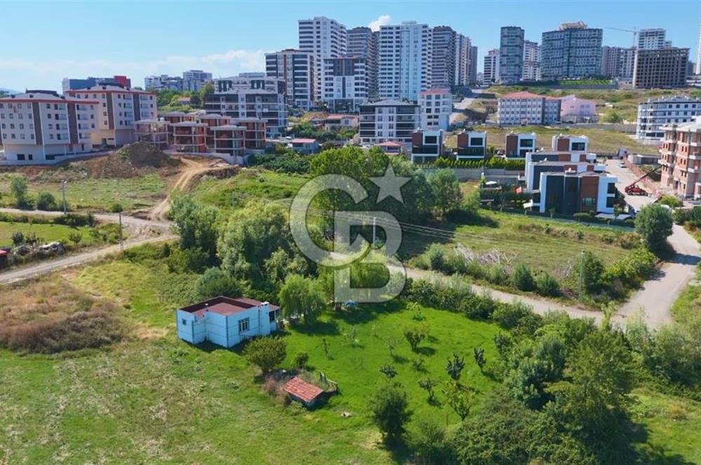 Büyükkolpınar'da 16 Dairelik Kat Karşılığı Arsa