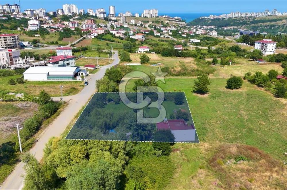 Büyükkolpınar'da 16 Dairelik Kat Karşılığı Arsa