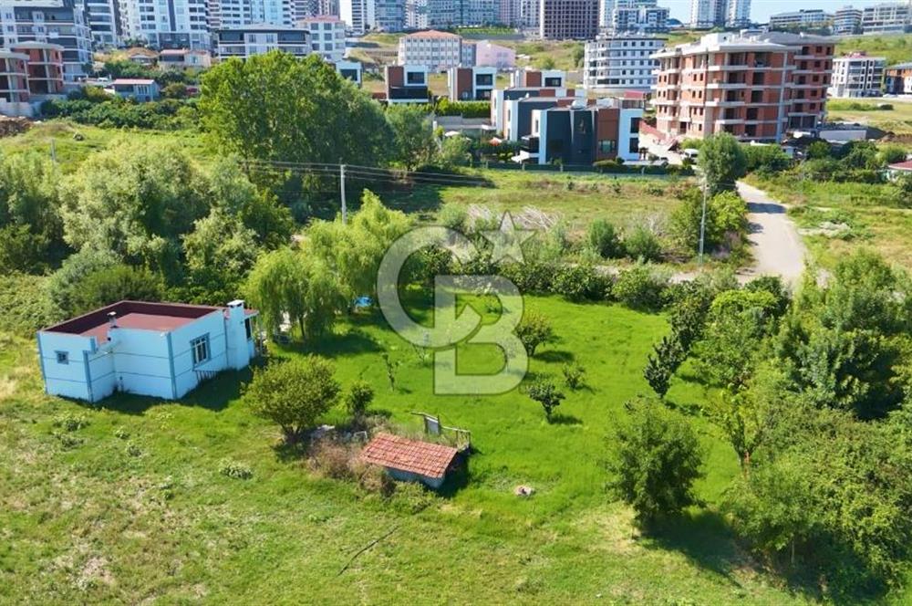 Büyükkolpınar'da 16 Dairelik Kat Karşılığı Arsa