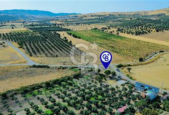 Foça Kocamehmetler Mah. Satılık Tek Tapu Tarla - 5 - 367830