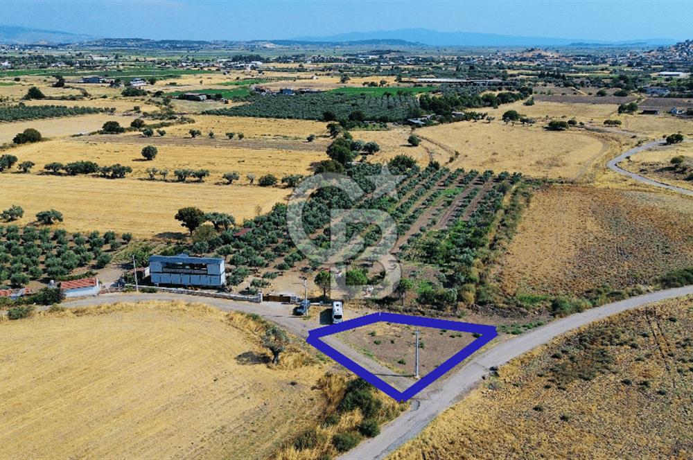 Foça Kocamehmetler Mah. Satılık Tek Tapu Tarla