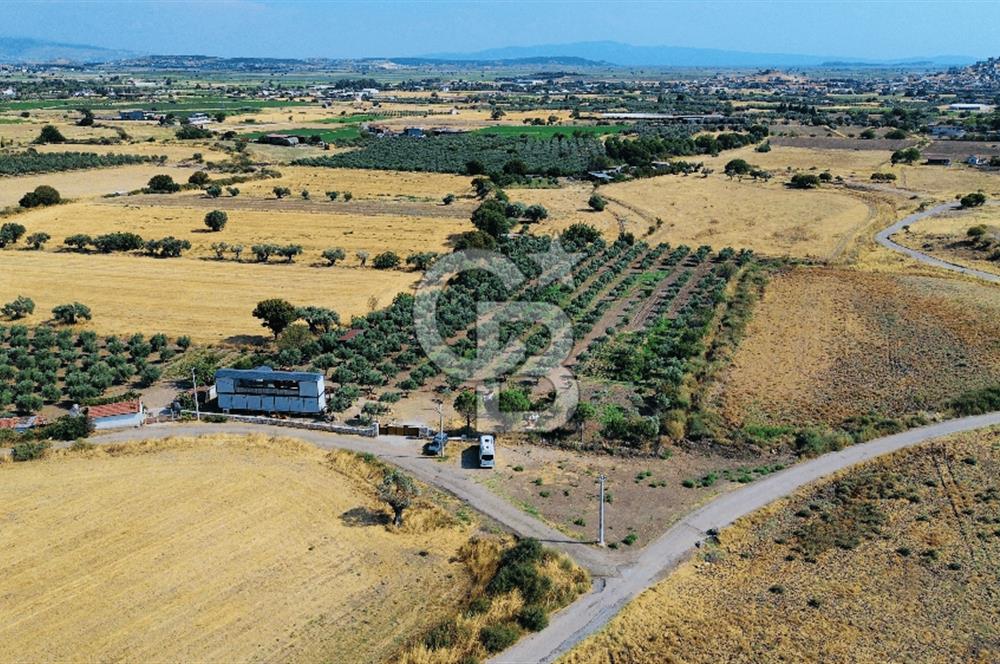 Foça Kocamehmetler Mah. Satılık Tek Tapu Tarla
