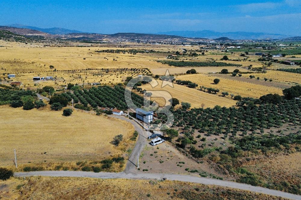 Foça Kocamehmetler Mah. Satılık Tek Tapu Tarla