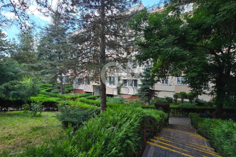 ERYAMAN ALTAY MAH. AGE BLOKLARINDA 3+1 KÖK TAPU SATILIK DAİRE